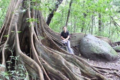 Toucans tours in guanacaste area, costa rica